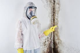 Best Mold Prevention Services in Winnsboro Mills, SC